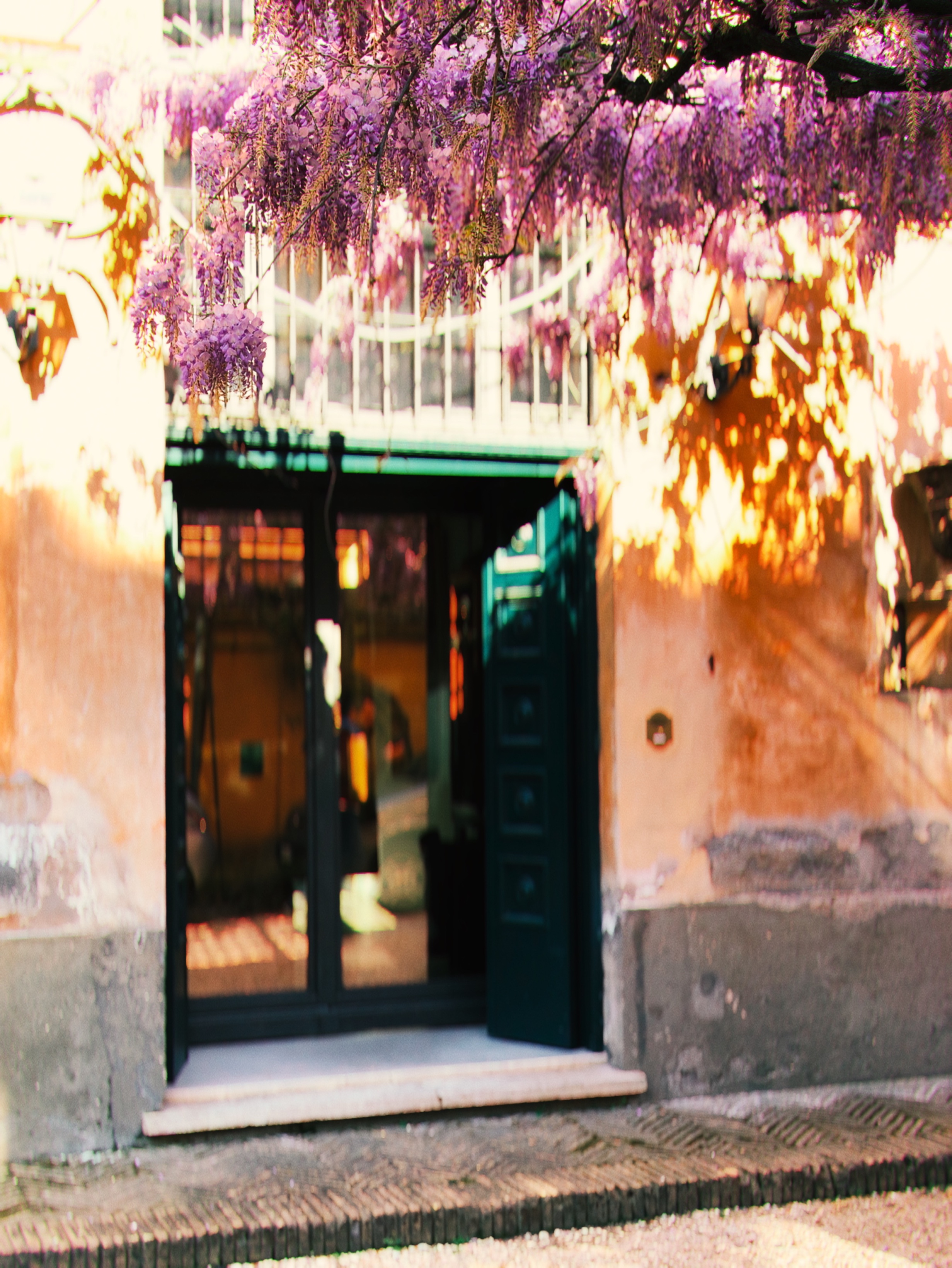 Wisteria Doorway
